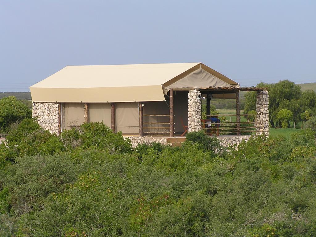 Thali Thali Game Lodge Лангебан Номер фото